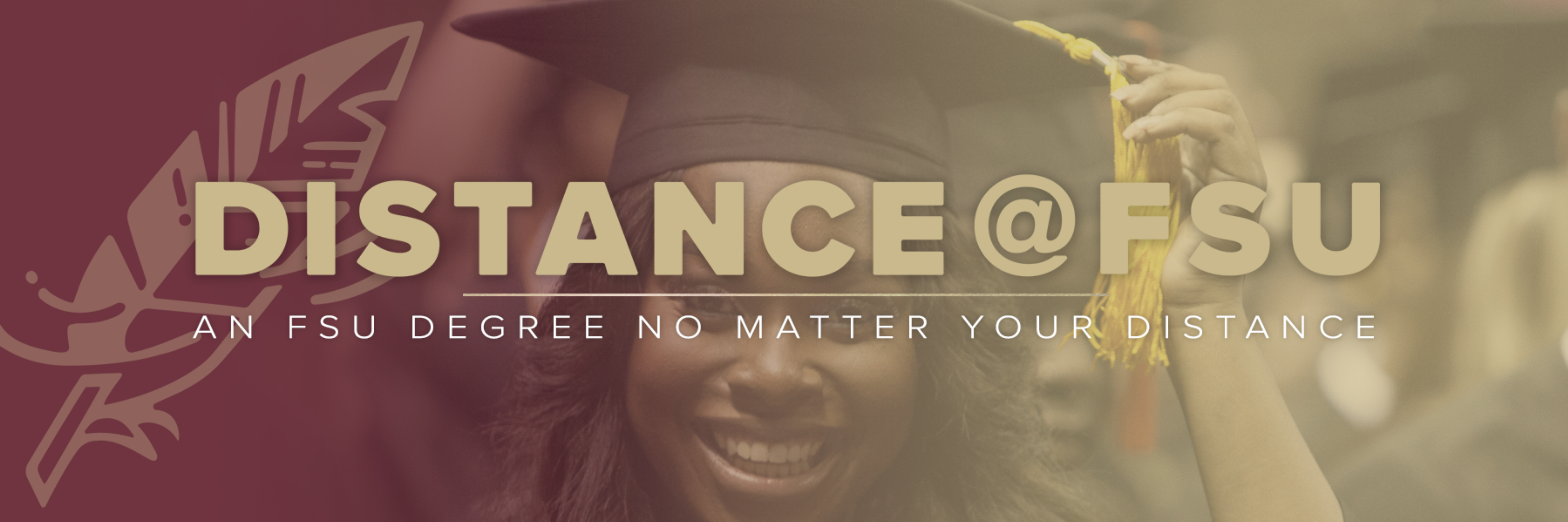 Distance Learning FSU banner image