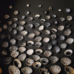 "A Shell’s Journey" Magnetized Atlantic Ocean clam shells on magnetized board. By Girija Kaimal, Art Therapist, US